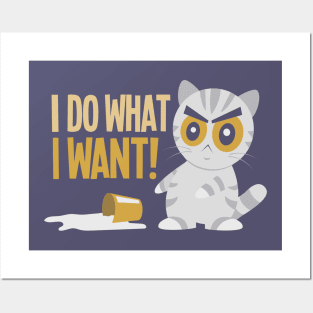 I Do What I Want! Posters and Art